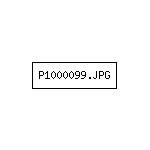 P1000099.JPG
